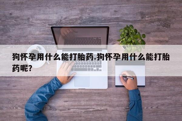 流产药联系方式狗怀孕用什么能打胎药.狗怀孕用什么能打胎药呢？