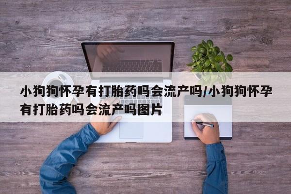 流产药联系方式小狗狗怀孕有打胎药吗会流产吗/小狗狗怀孕有打胎药吗会流产吗图片