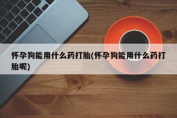 流产药联系方式怀孕狗能用什么药打胎(怀孕狗能用什么药打胎呢)